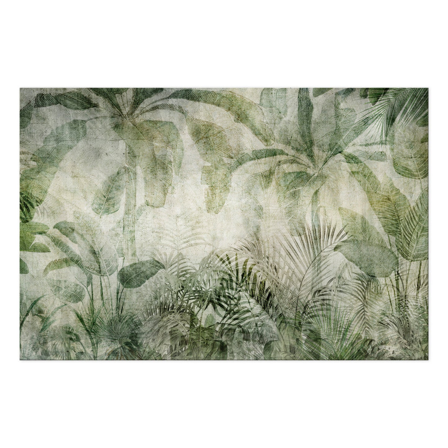 LUMASOUL Obraz Natura Urban Jungle na Płótnie