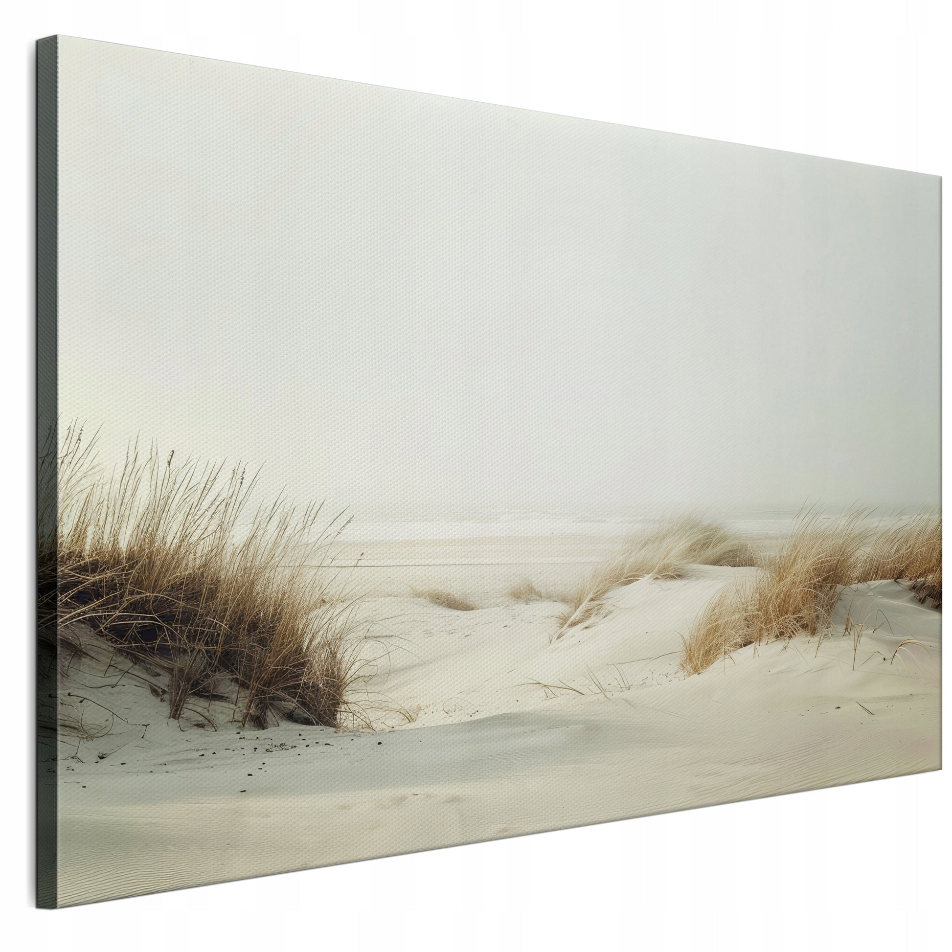 65673b9bf560dd270ac5e0650a9d75e5