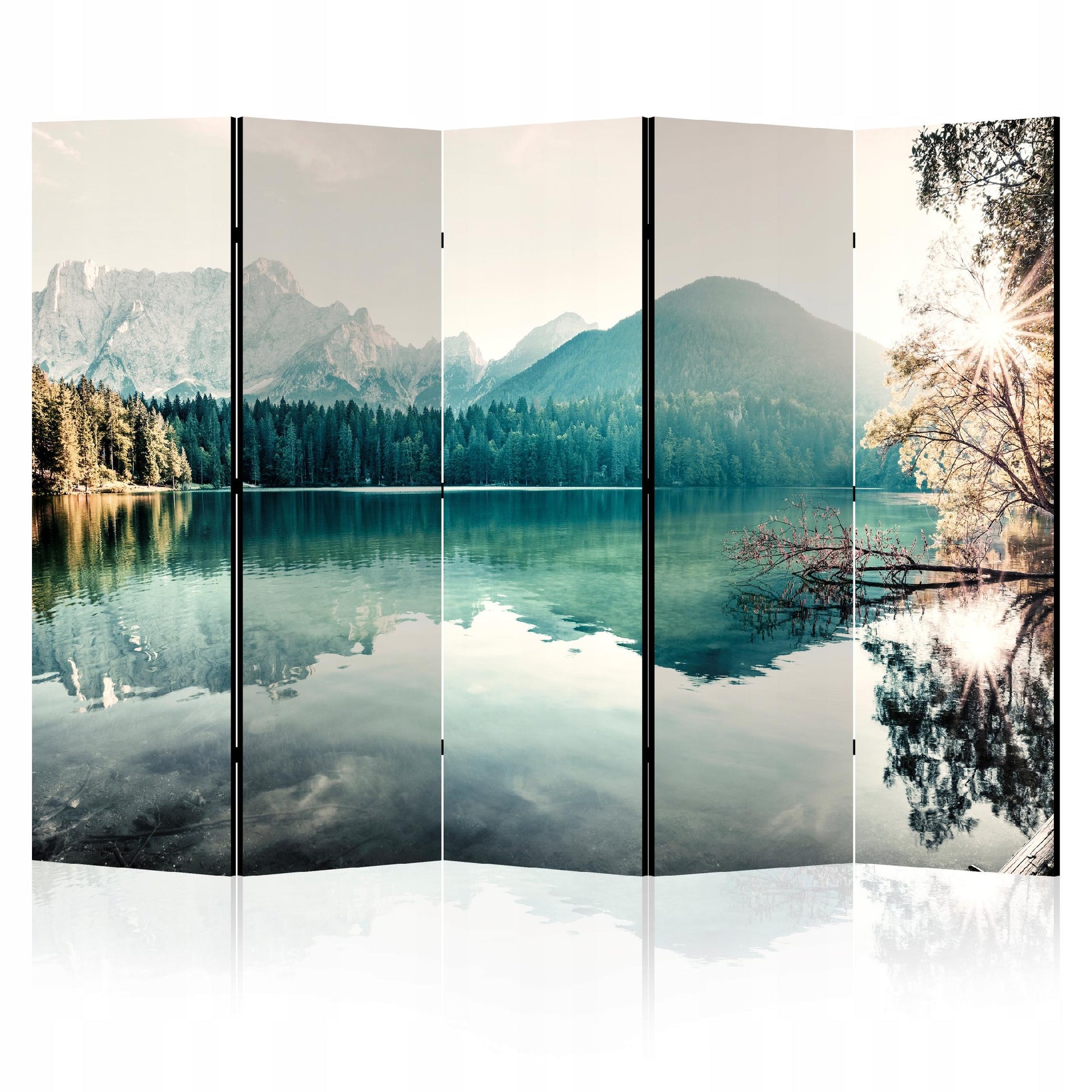 54980e879887f87c2c5d610d25ce4842