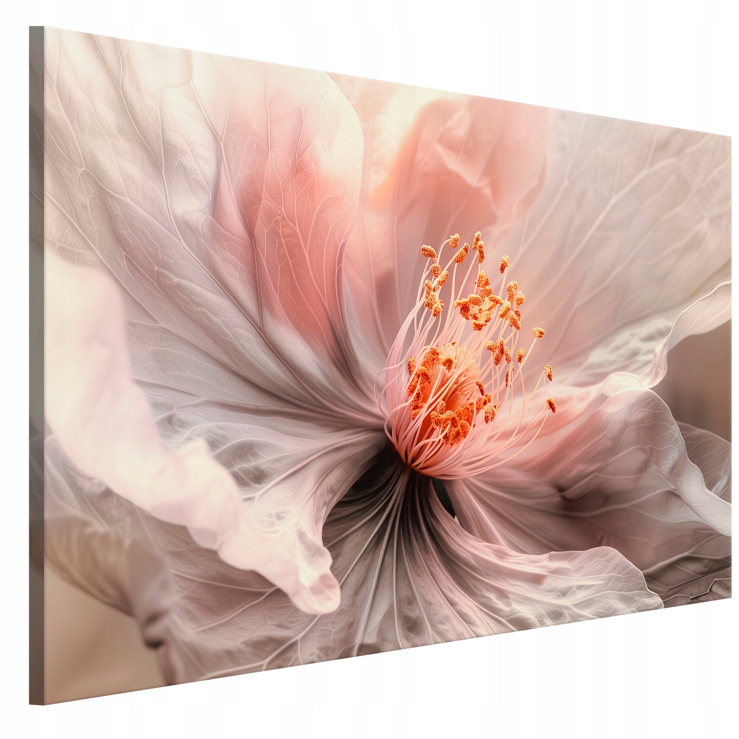 e565cd267251700f82750e50c089c8dc