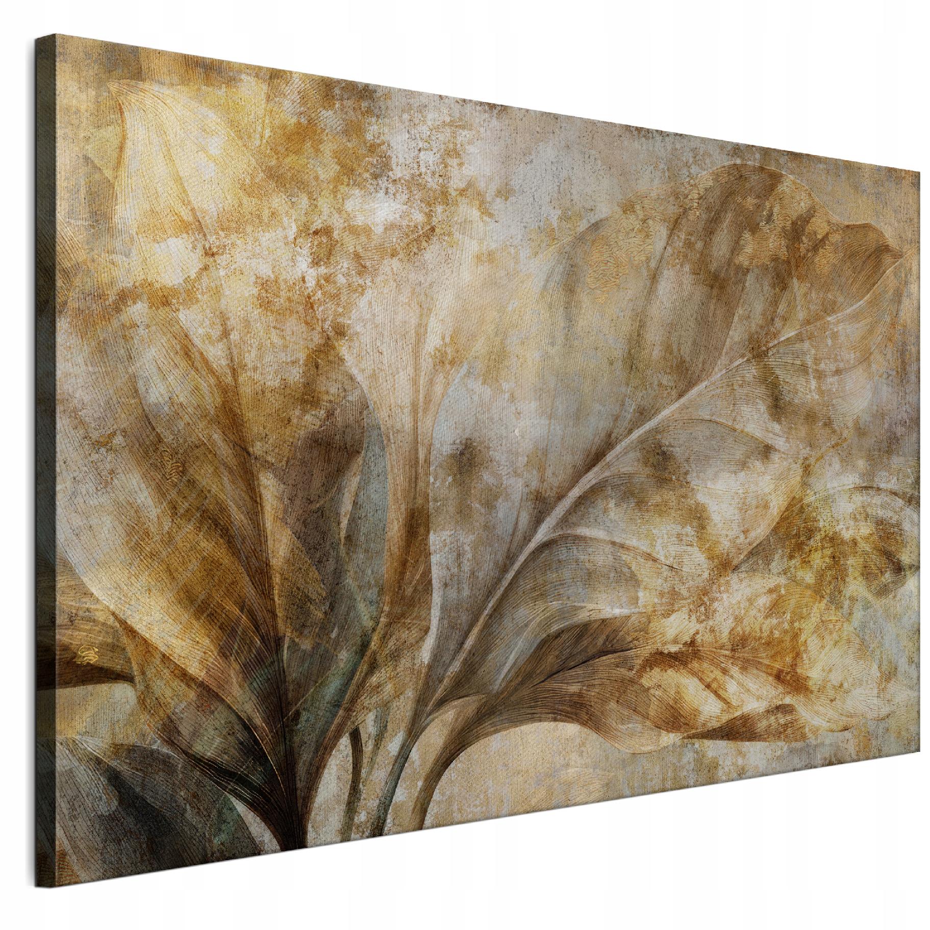 a97574afe97c63a9b16076dc0a6c96f5