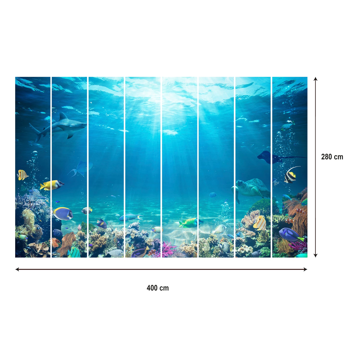 LUMASOUL Fototapeta Flizelina Rozmiar 100x70 Motyw ZWIERZĘTA