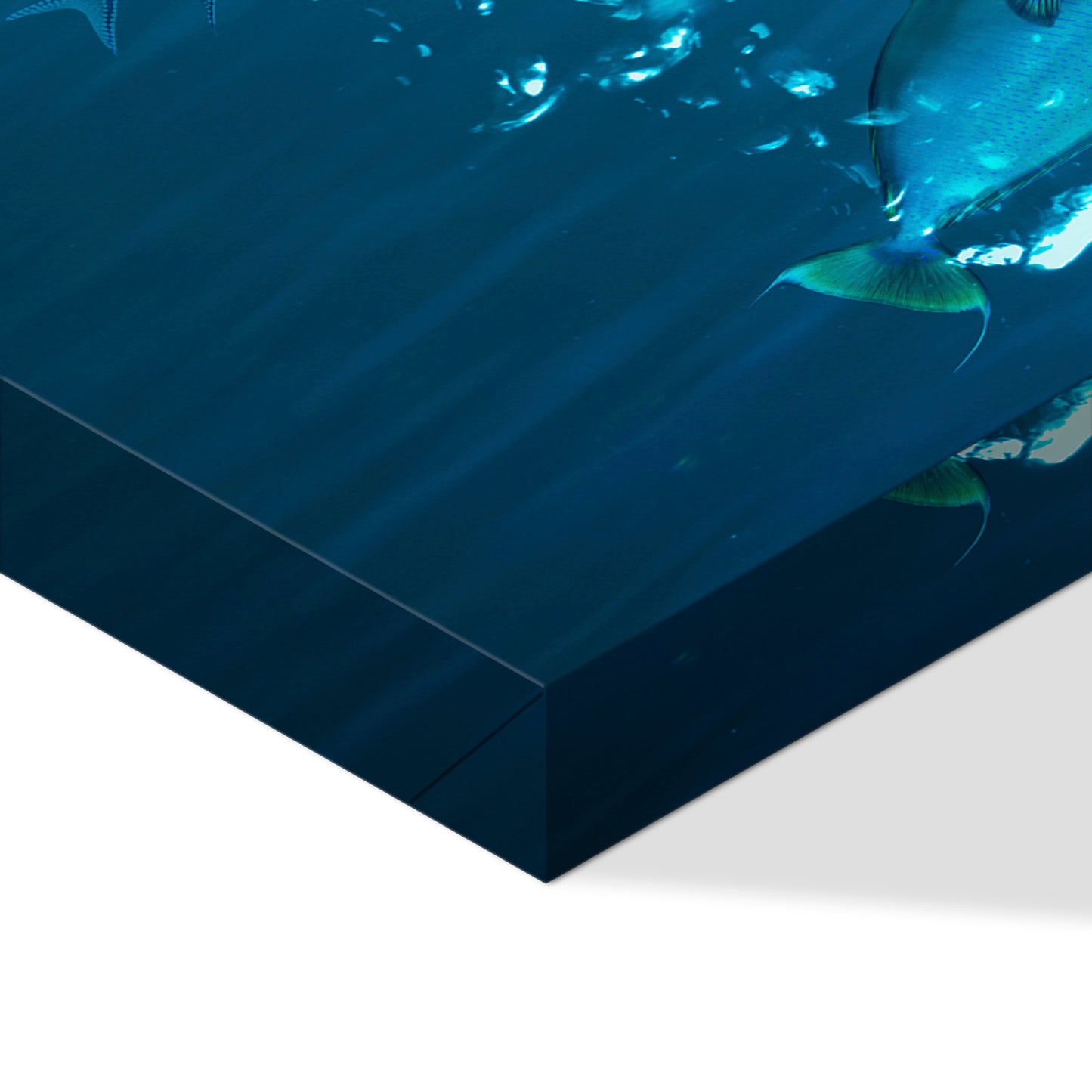 LUMASOUL Picture 100x50 Animals Modern 