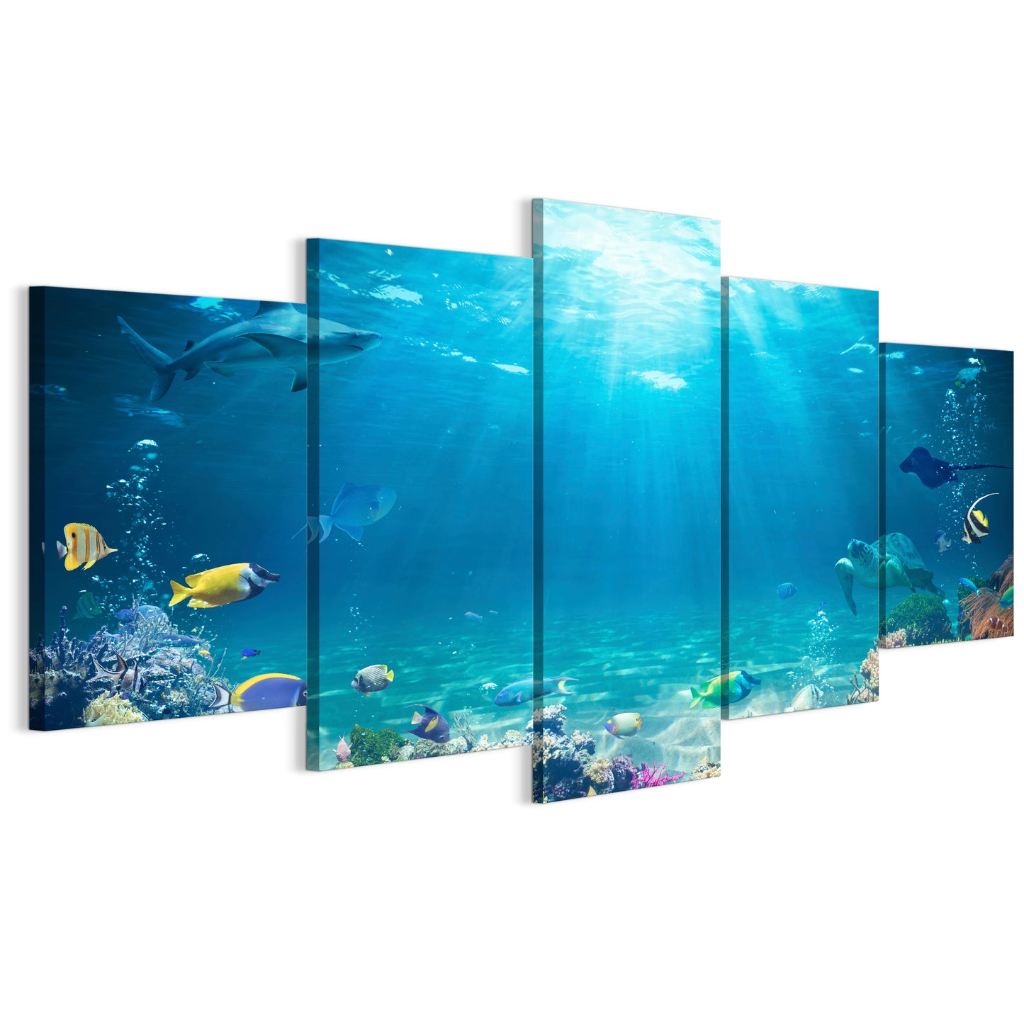 LUMASOUL Picture 100x50 Animals Modern 