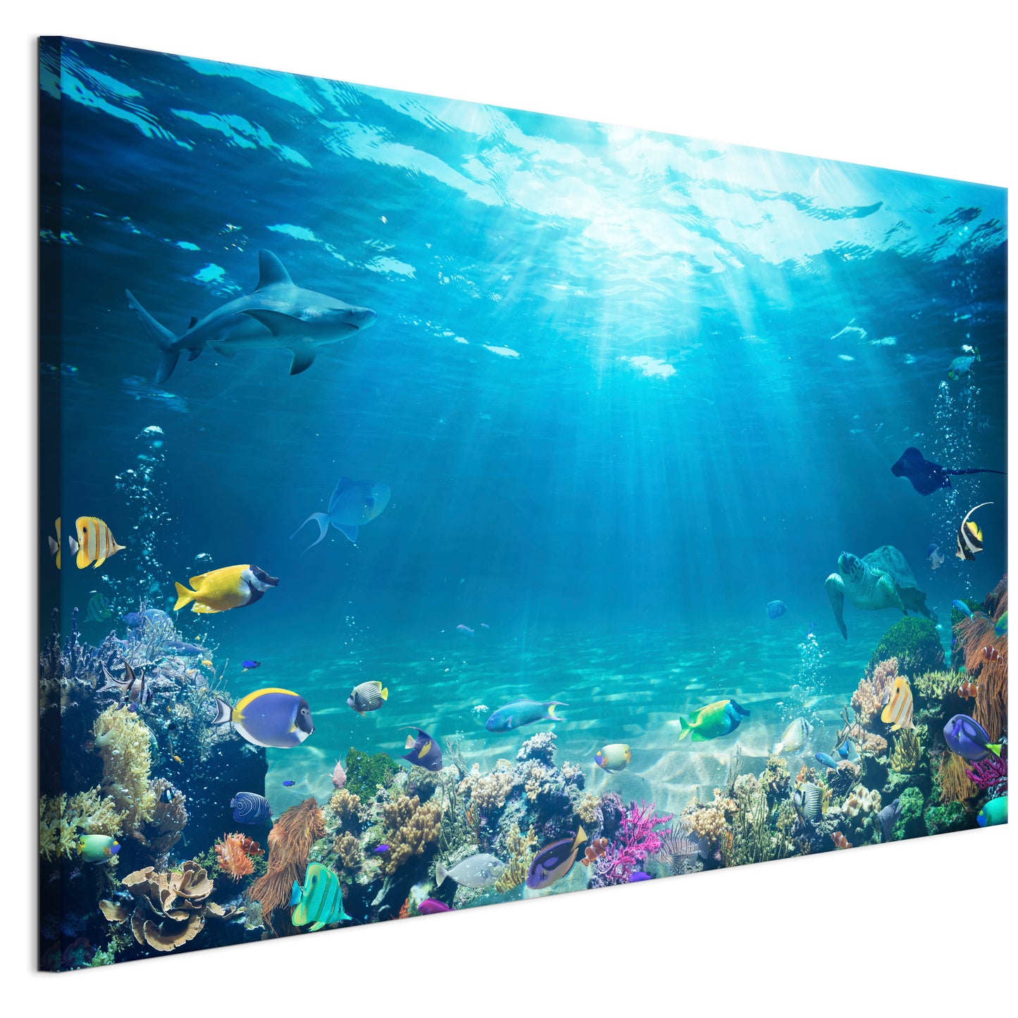 LUMASOUL Picture 120x80 Animals Modern 