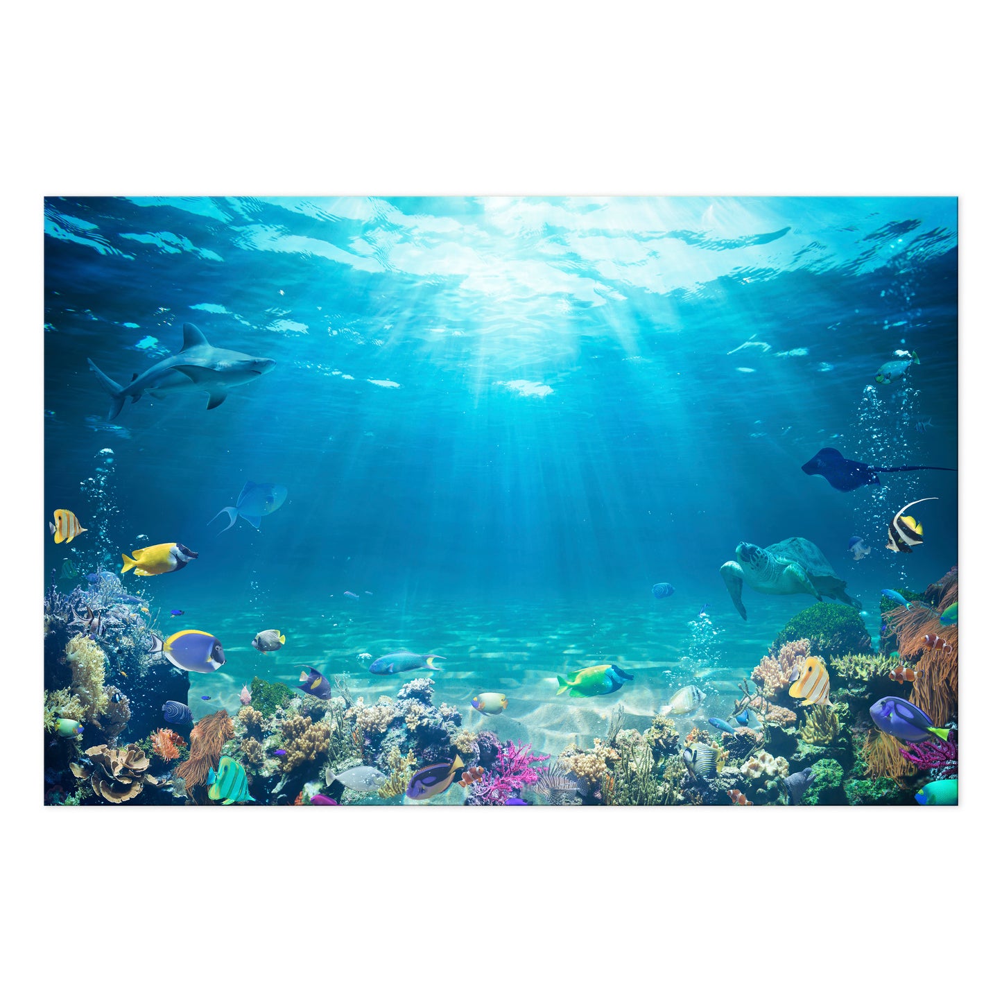 LUMASOUL Picture 120x80 Animals Modern 