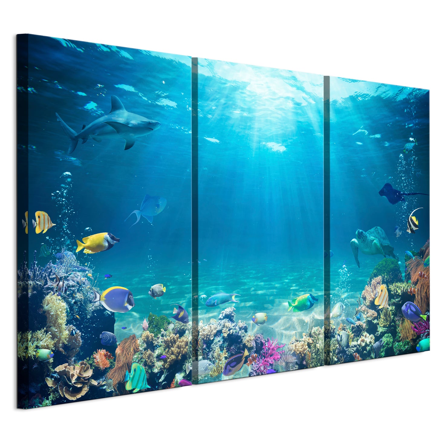 LUMASOUL Picture 120x80 Animals Modern 