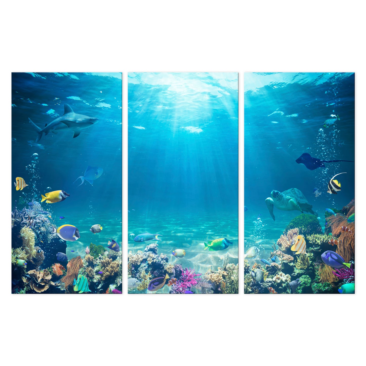 LUMASOUL Picture 120x80 Animals Modern 