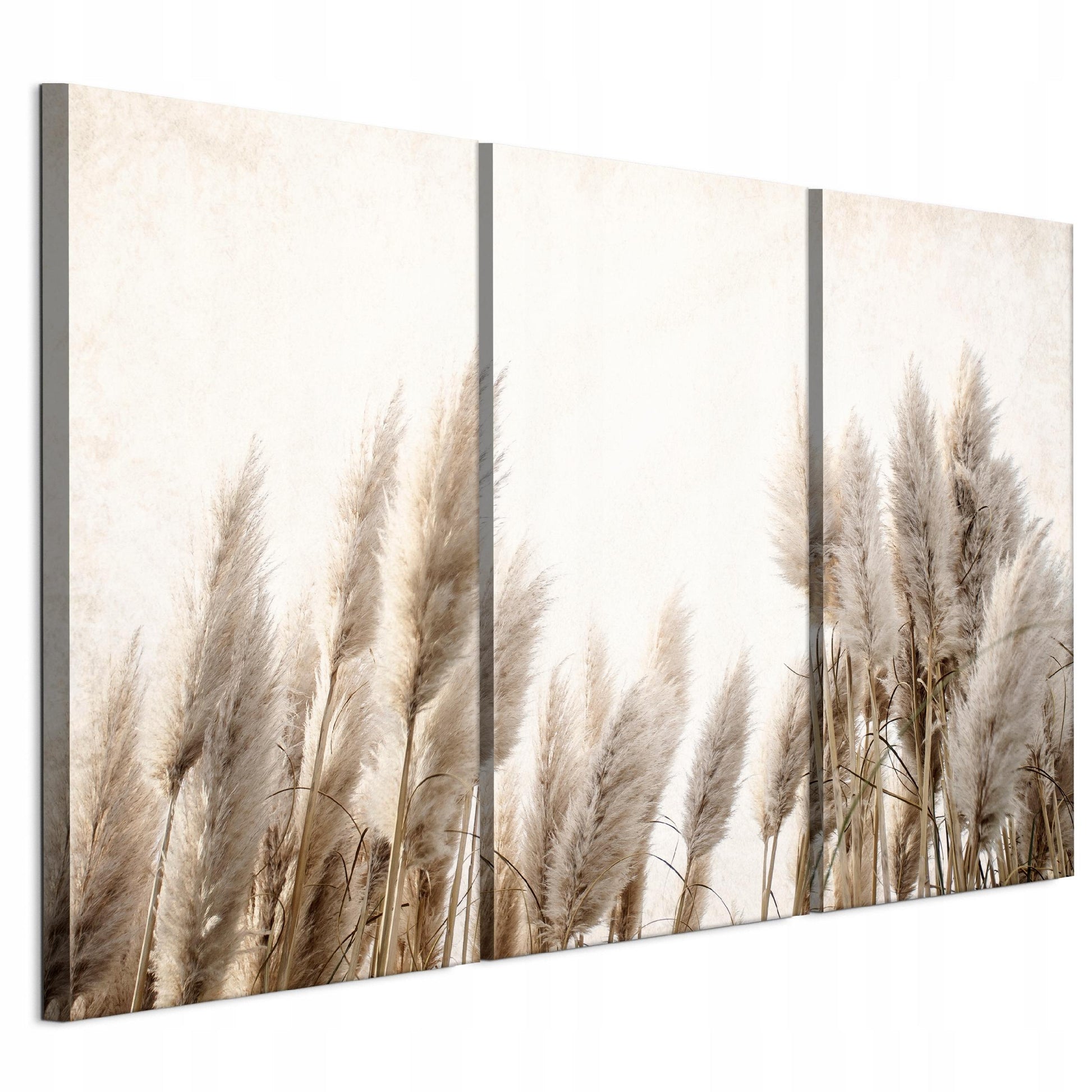 8f6b2cc64b0d5ce0fd7548ed94c74bc7