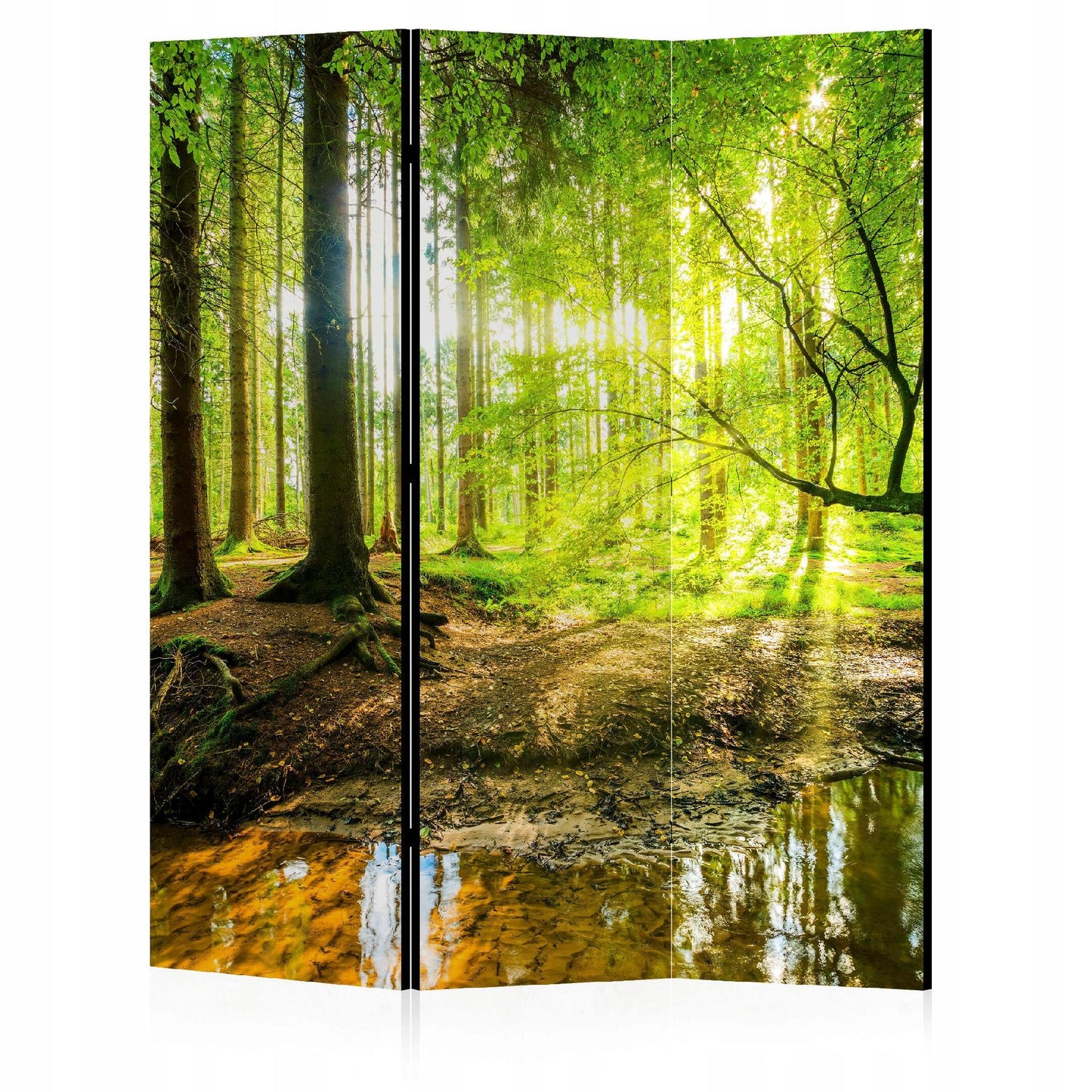 b6fd79bad2d4499a0715388efce5e269