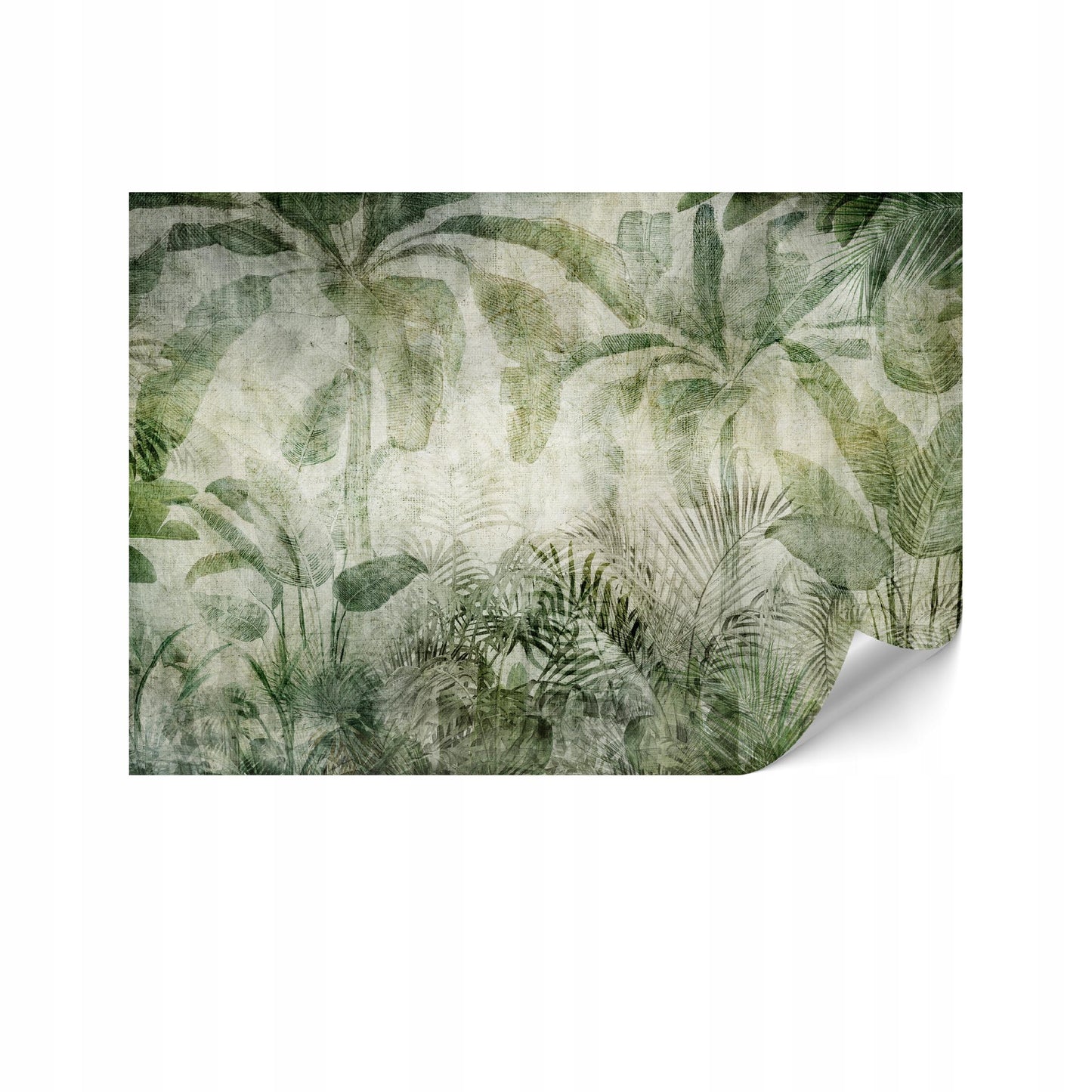 372811be51d33be6cf80f5a4f0c0f8ce