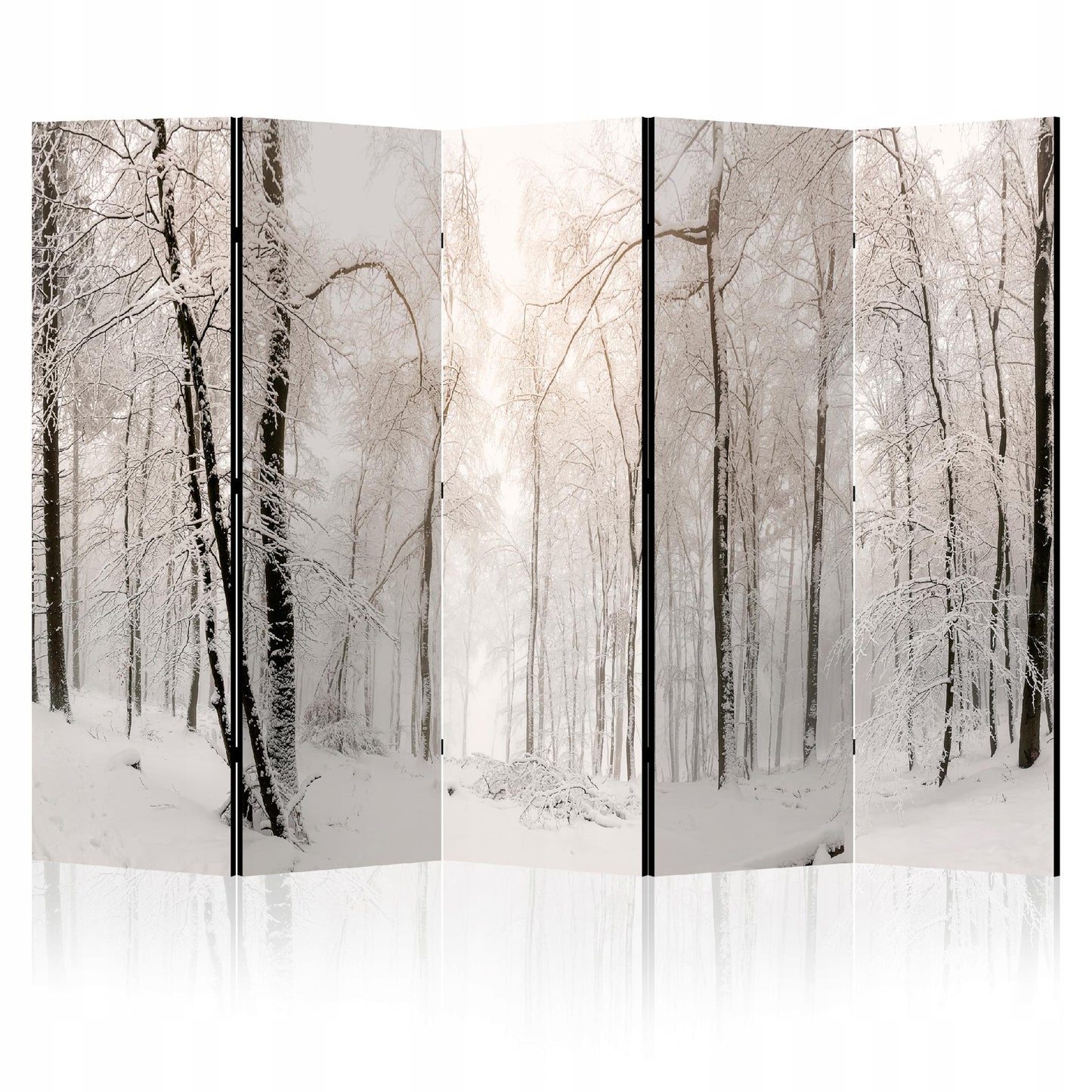 d86e43677cabb47ff778187ef876512f