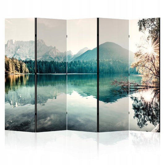 e559f2f33055360e46707cf44b498835