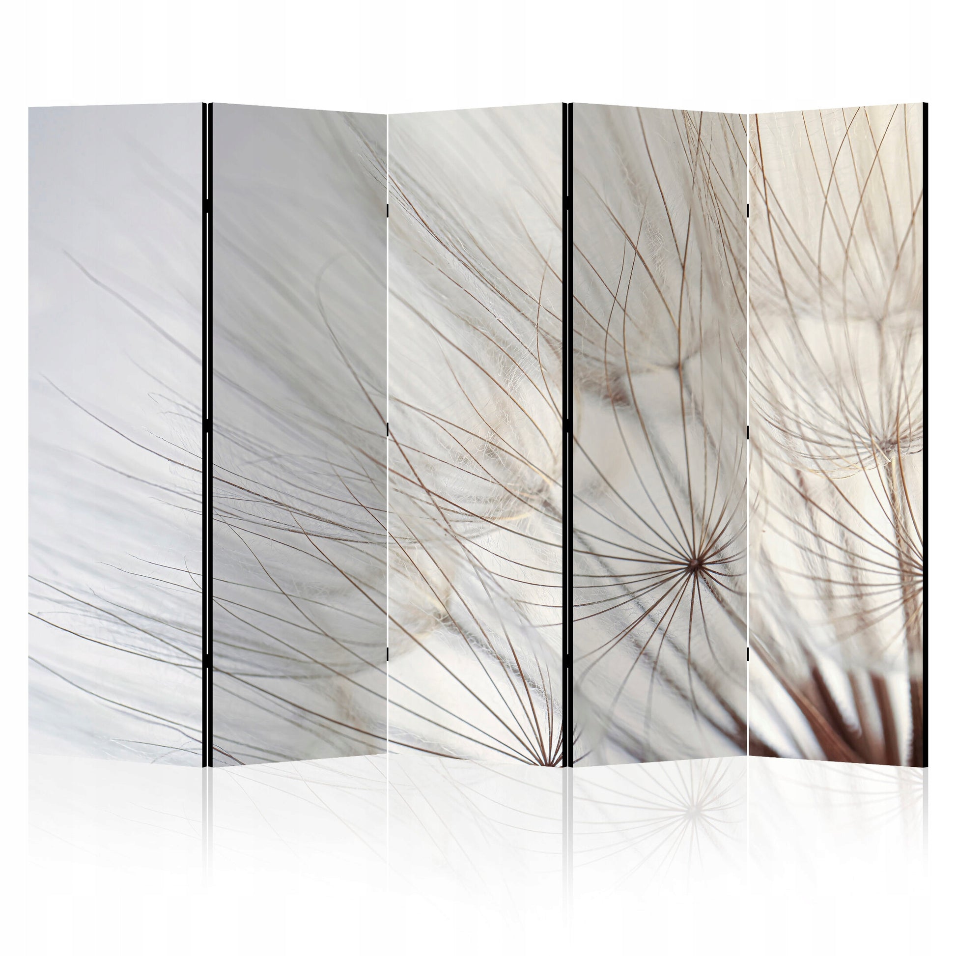 fd818360e5ab513772cc737d93bc7e07