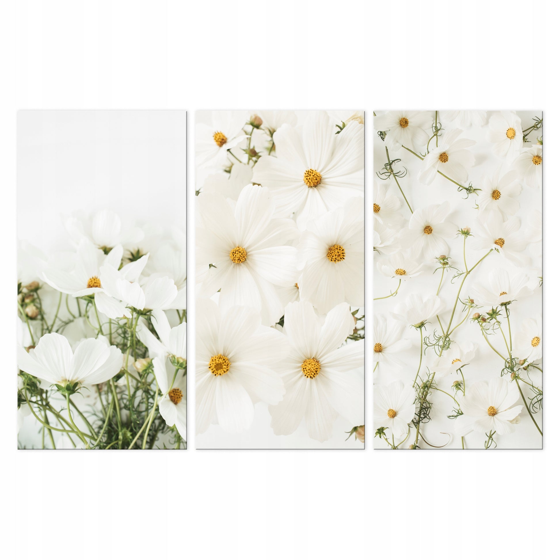 1fc38c6146675a0b4b378df8521f0238