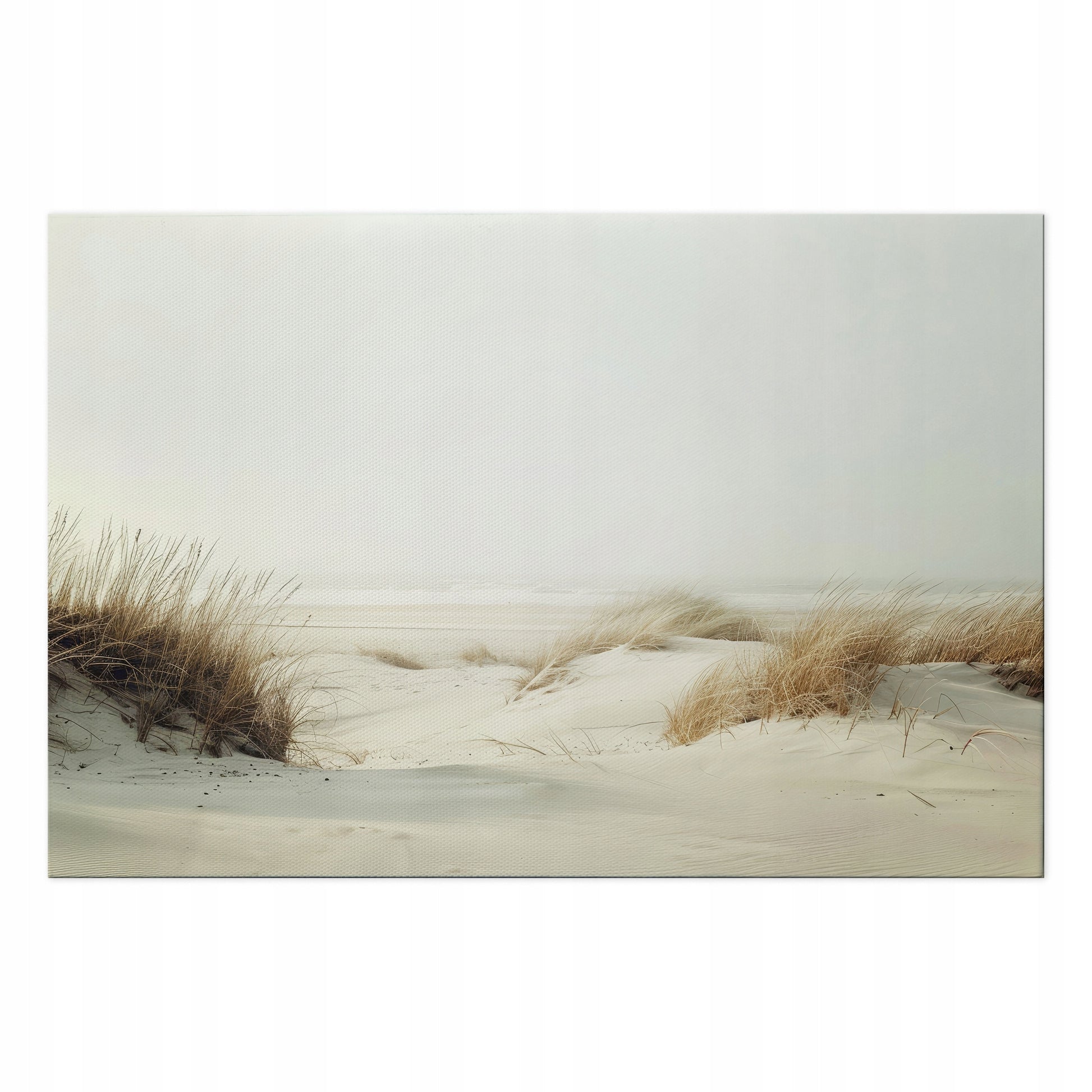 b24c8908368c154b8c63f1d7df88dd68